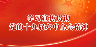 学习贯彻党的十九届六中全会精神