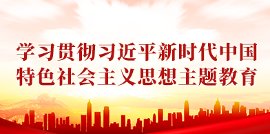 学习贯彻习近平新时代中国特色社会主义思想主题教育