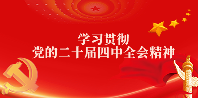学习贯彻党的二十届四中全会精神